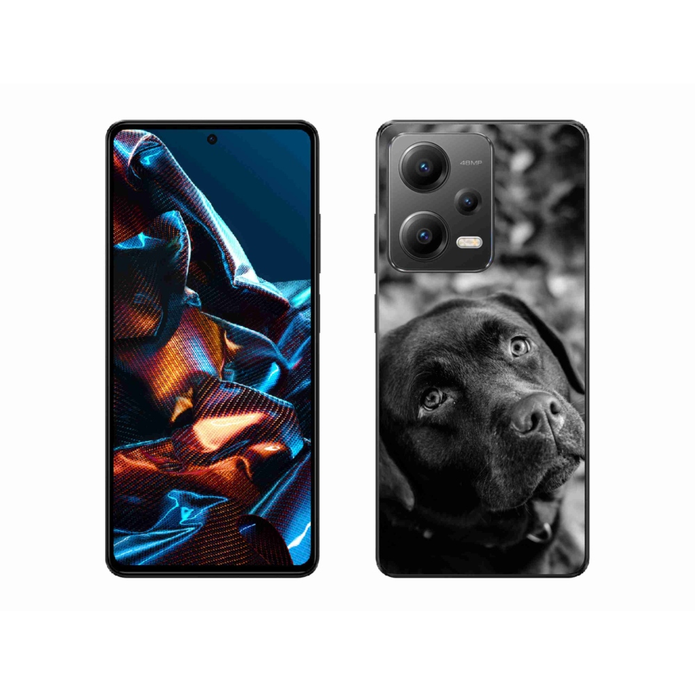Gelový obal mmCase na mobil Xiaomi Redmi Note 12 Pro 5G - labrador