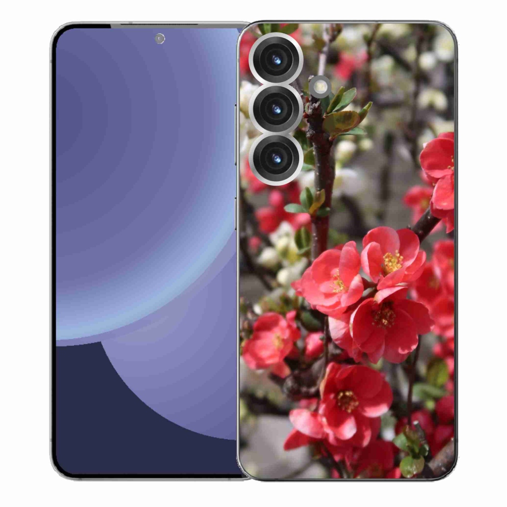 Gelový kryt mmCase na Samsung Galaxy S25+ - červené květy