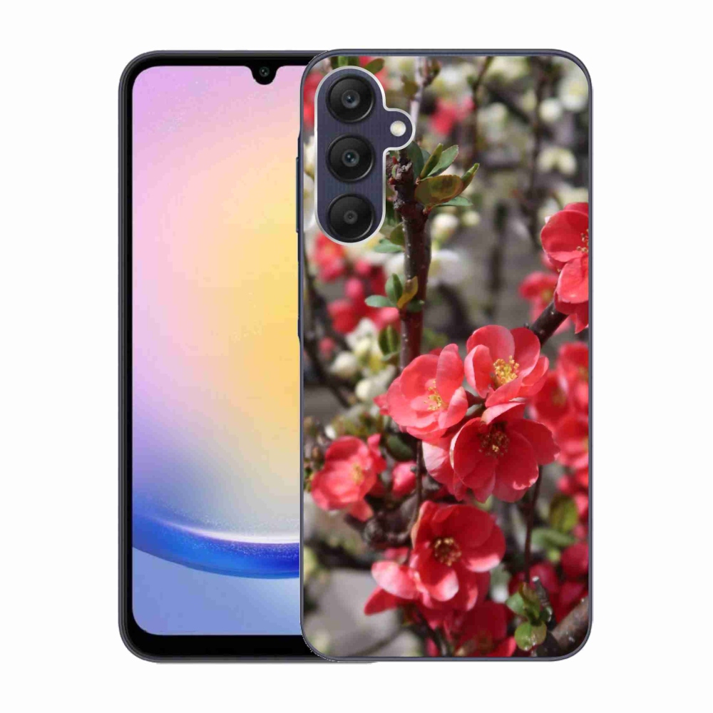 Gelový kryt mmCase na Samsung Galaxy A25 5G - červené květy