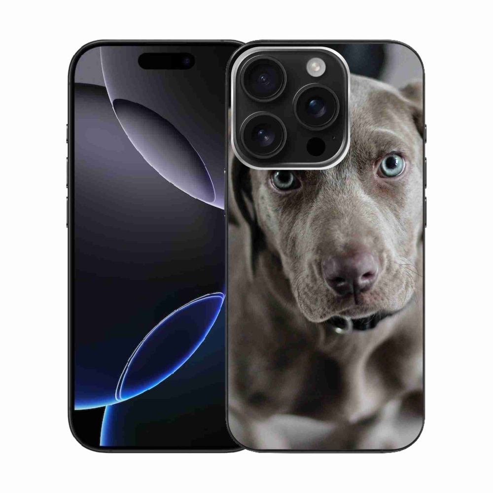 Gelový obal mmCase na iPhone 16 Pro - výmarský ohař