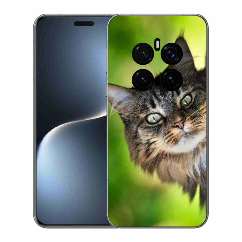 Gelový kryt mmCase na Honor Magic 7 Pro 5G - kočka 3