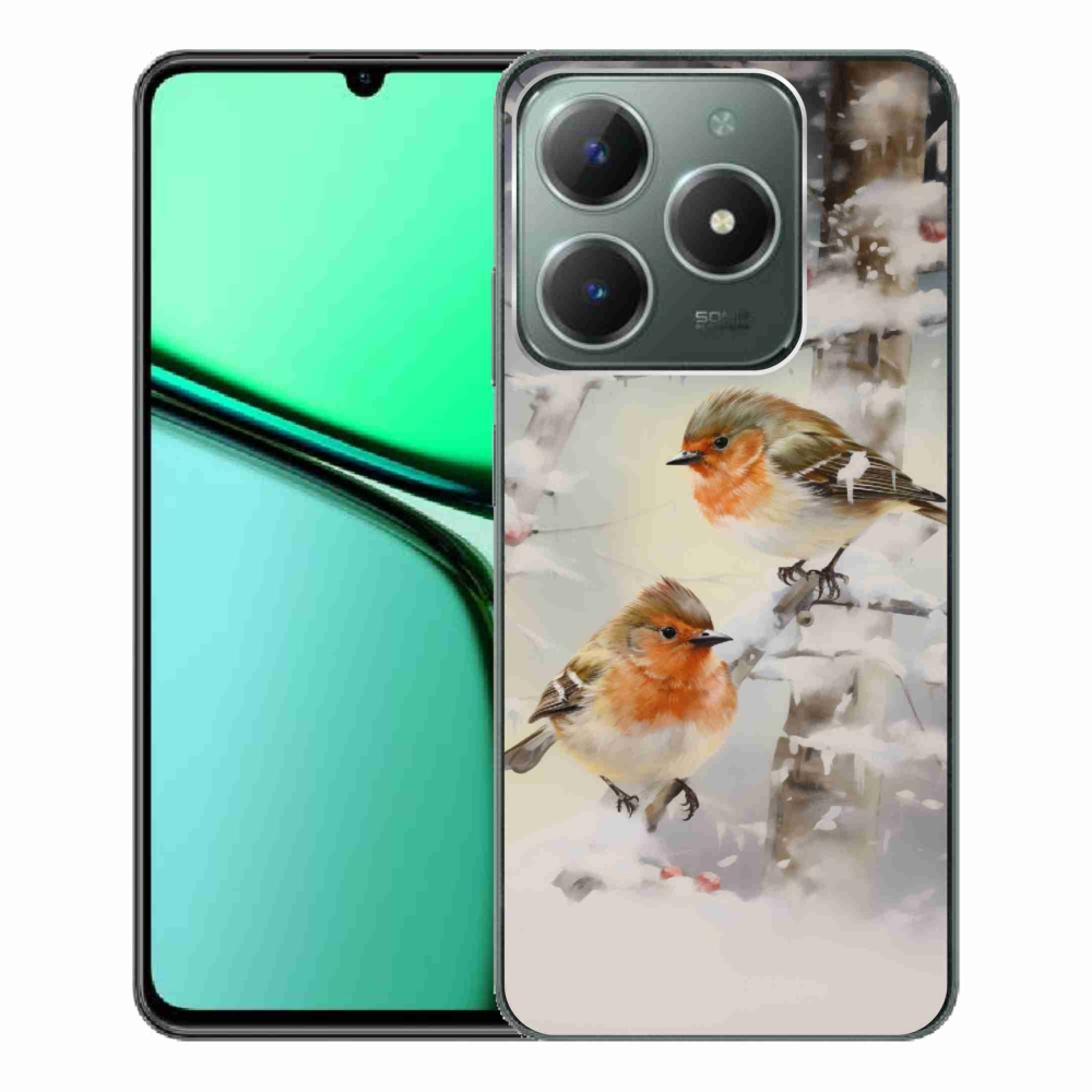 Gelový kryt mmCase na Realme C61 - ptáčci v zimě