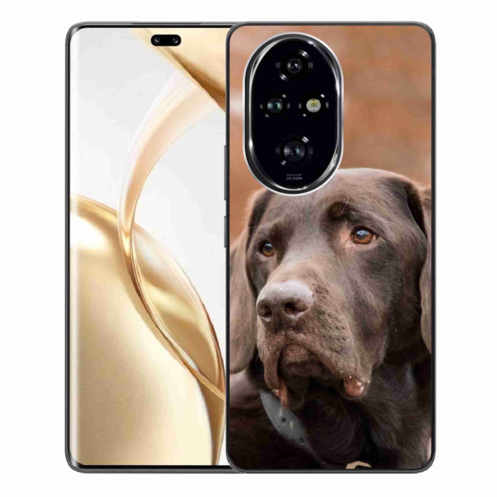 Gelový obal mmCase na Honor 200 Pro 5G - hnědý labrador