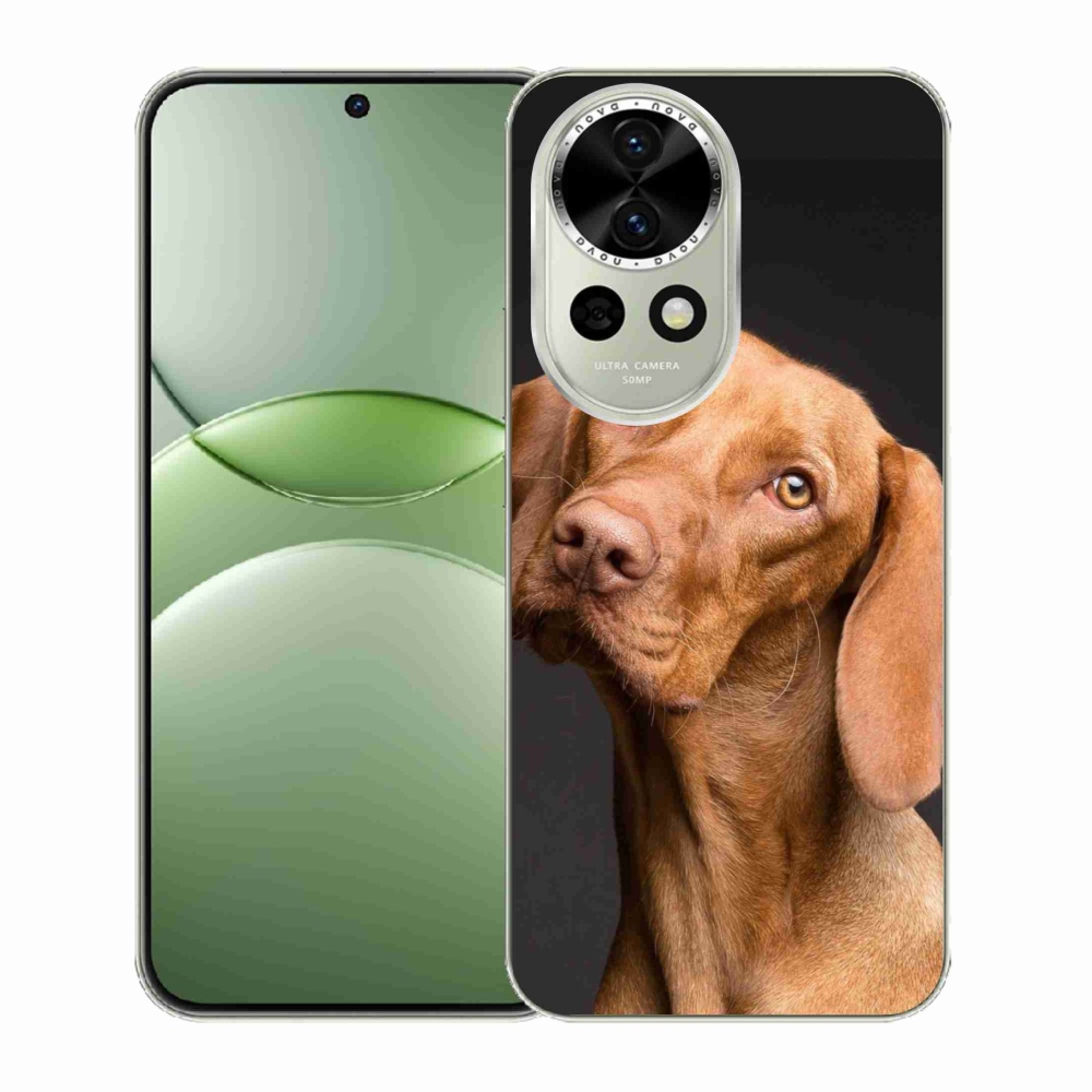 Gelový kryt mmCase na Huawei Nova 13 5G - maďarský ohař
