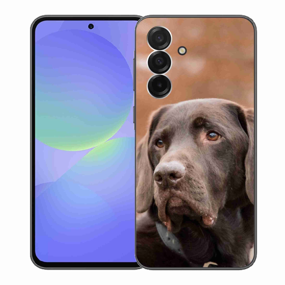 Gelový kryt mmCase na Samsung Galaxy A36 5G - hnědý labrador