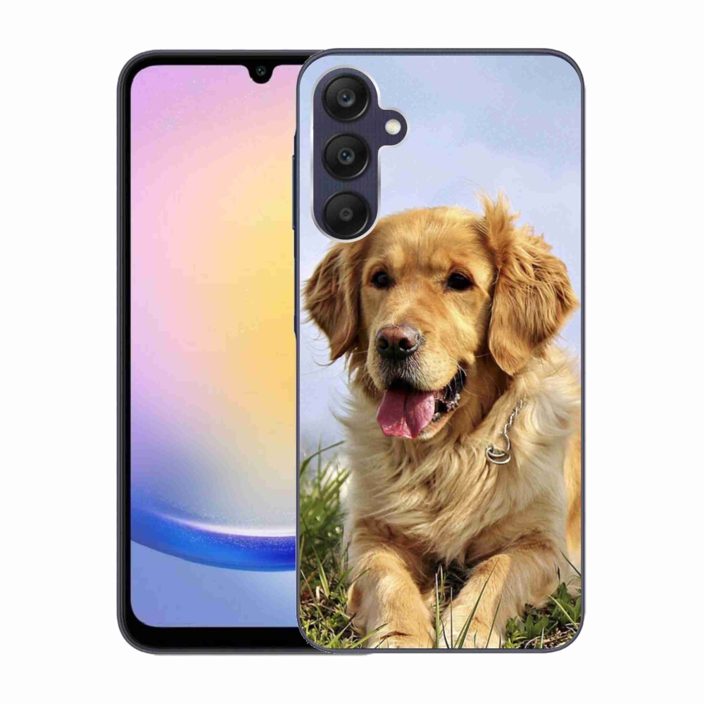 Gelový obal mmCase na Samsung Galaxy A25 5G - zlatý retrívr
