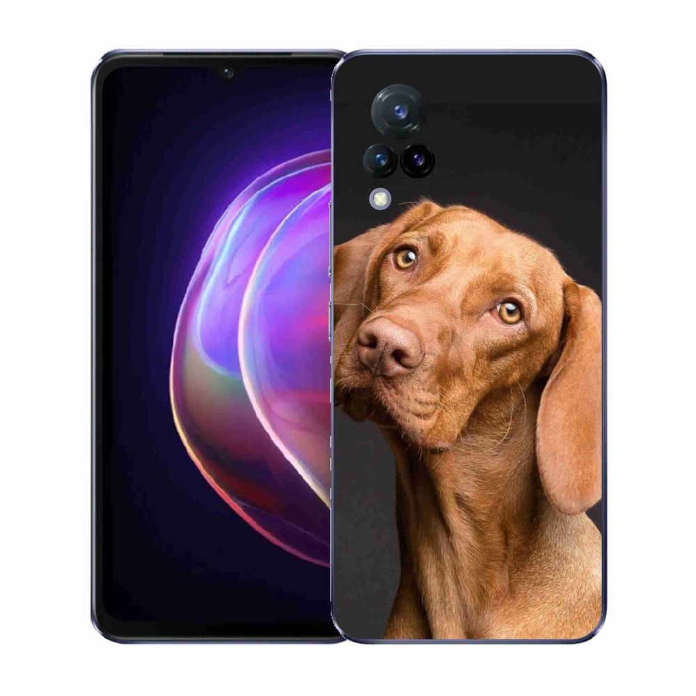 Gelový kryt mmCase na Vivo V21 4G/5G - maďarský ohař