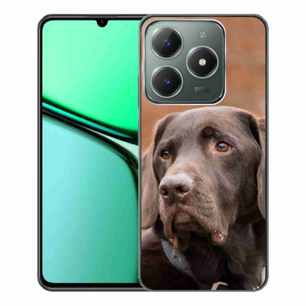 Gelový obal mmCase na Realme C61 - hnědý labrador