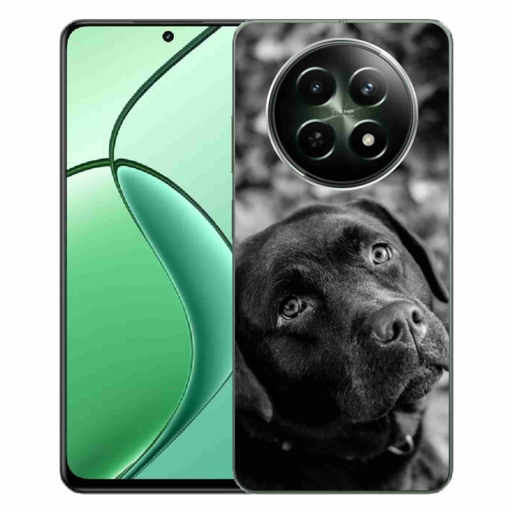 Gelový obal mmCase na Realme 12 5G/12x 5G - labrador