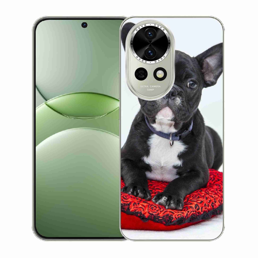 Gelový kryt mmCase na Huawei Nova 13 5G - buldok