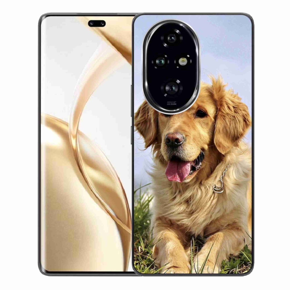 Gelový obal mmCase na Honor 200 Pro 5G - zlatý retrívr
