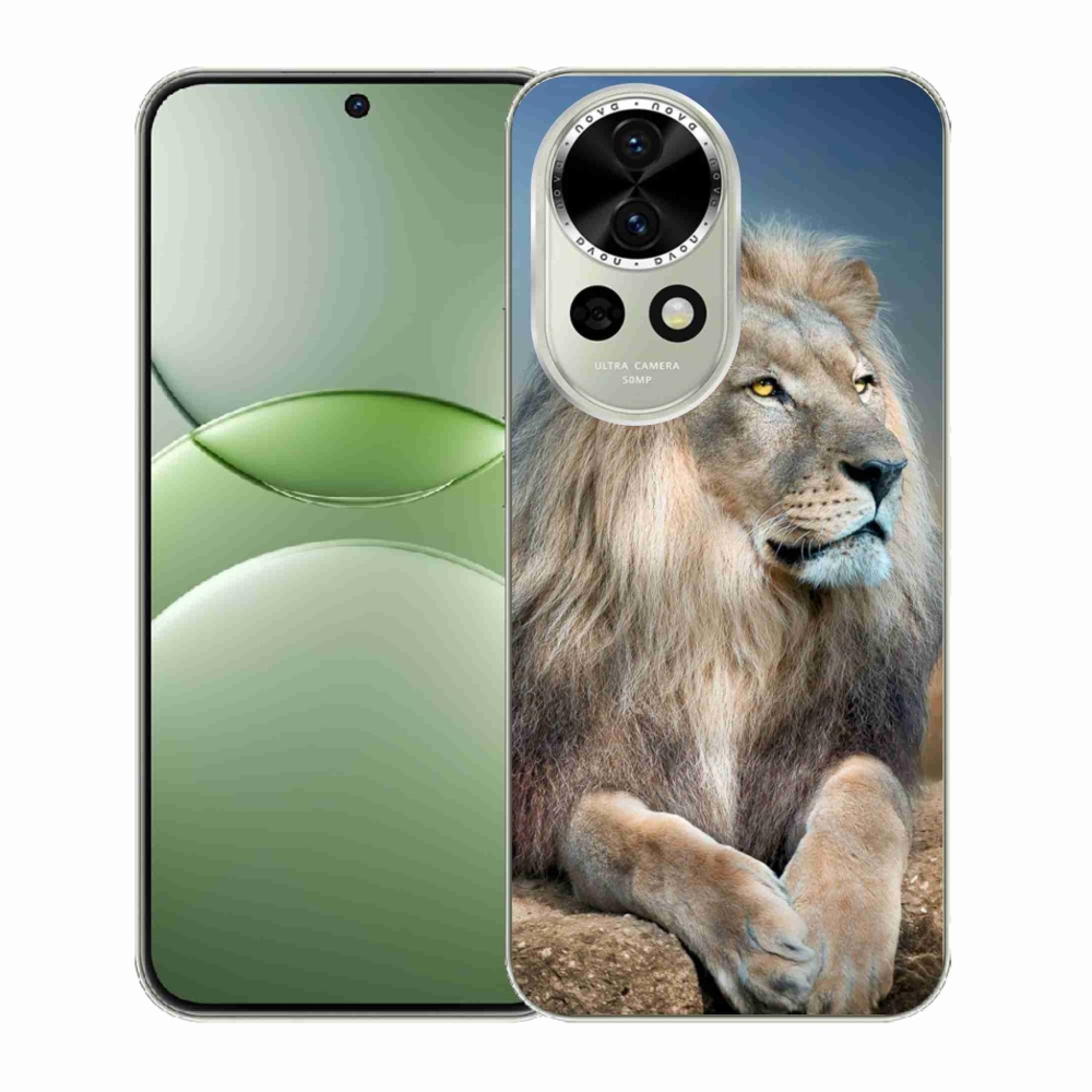 Gelový kryt mmCase na Huawei Nova 13 5G - lev 1
