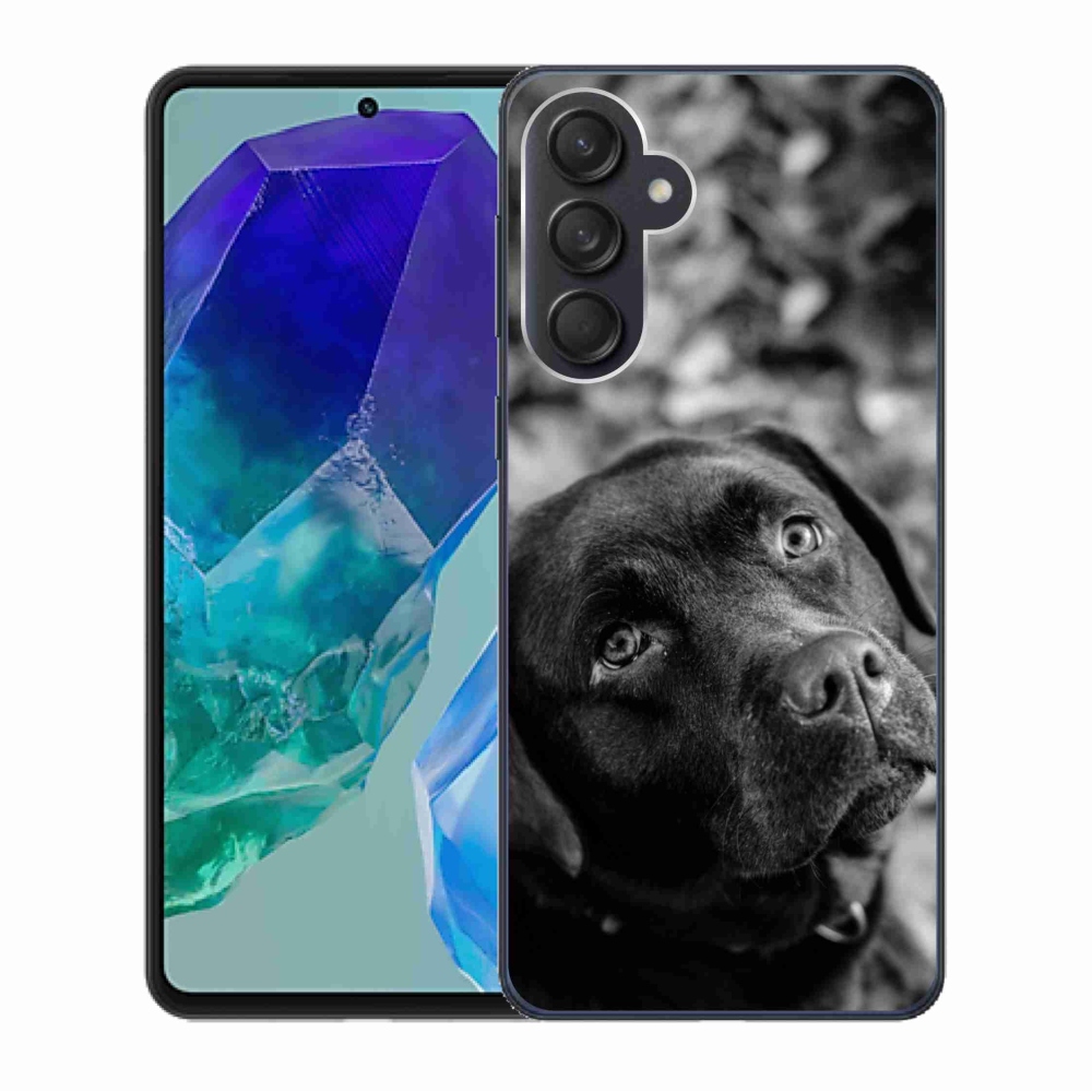 Gelový obal mmCase na Samsung Galaxy M55 5G - labrador