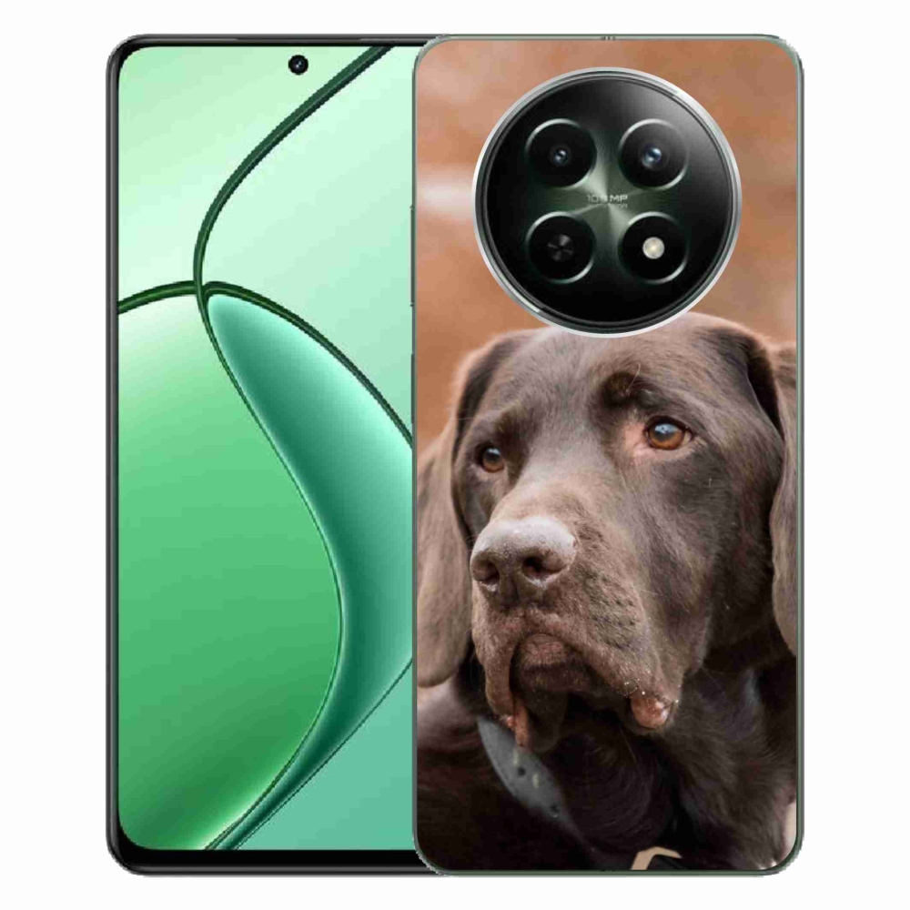Gelový obal mmCase na Realme 12 5G/12x 5G - hnědý labrador