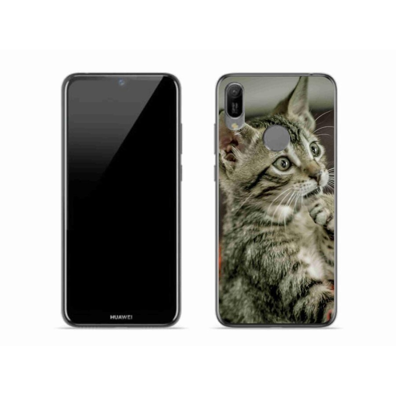 Gelové pouzdro mmCase na mobil Huawei Y6 (2019) - roztomilá kočka