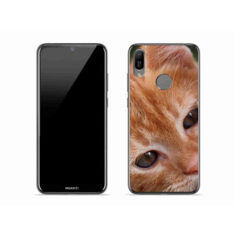 Gelové pouzdro mmCase na mobil Huawei Y6 (2019) - zrzavé kotě