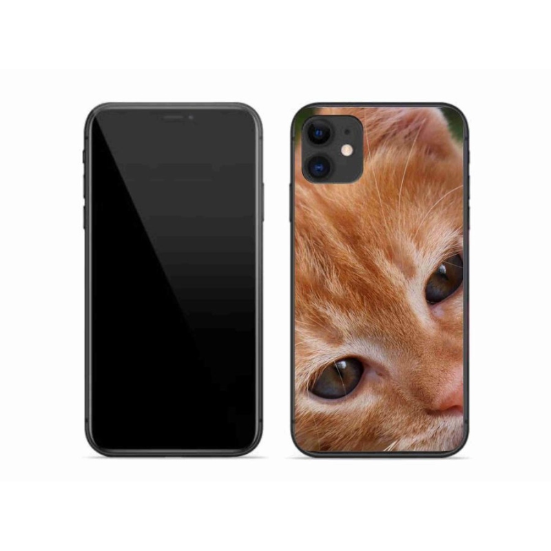 Gelové pouzdro mmCase na mobil iPhone 11 - zrzavé kotě