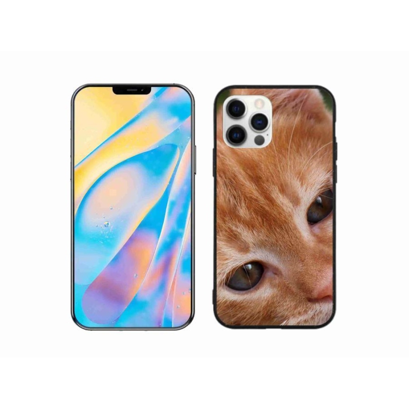 Gelové pouzdro mmCase na mobil iPhone 12 - zrzavé kotě