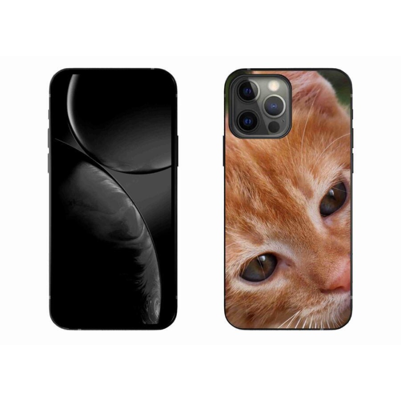 Gelové pouzdro mmCase na mobil iPhone 13 Pro Max 6.7 - zrzavé kotě
