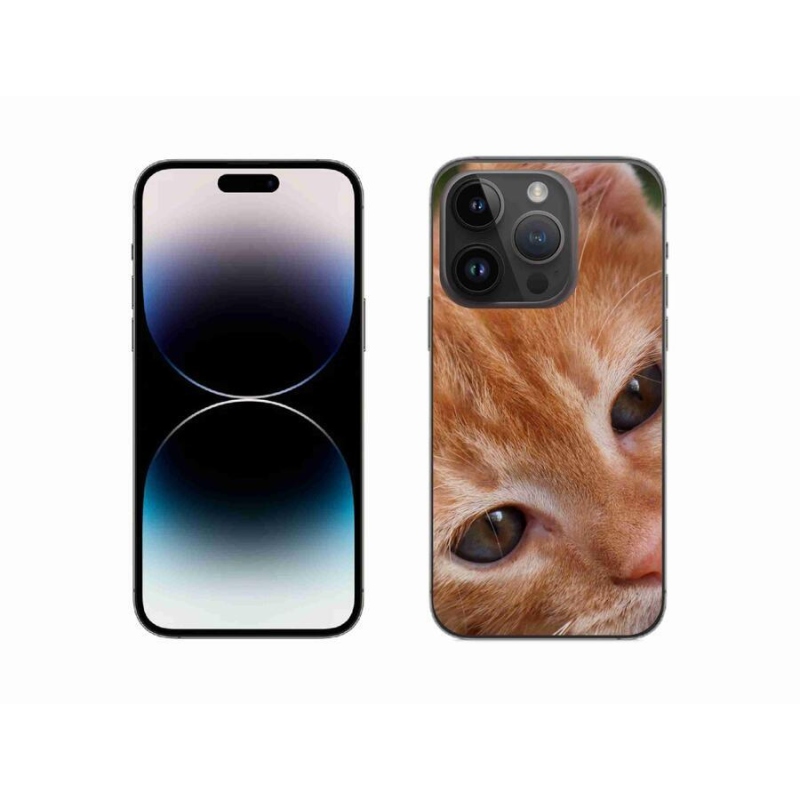 Gelové pouzdro mmCase na mobil iPhone 14 Pro 6.1 - zrzavé kotě