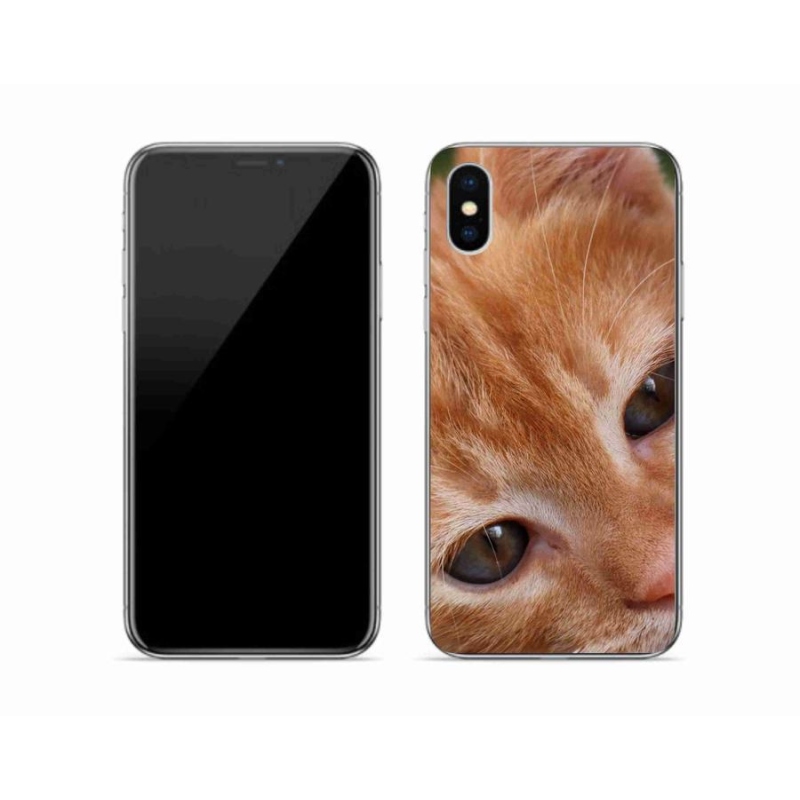 Gelové pouzdro mmCase na mobil iPhone XS - zrzavé kotě