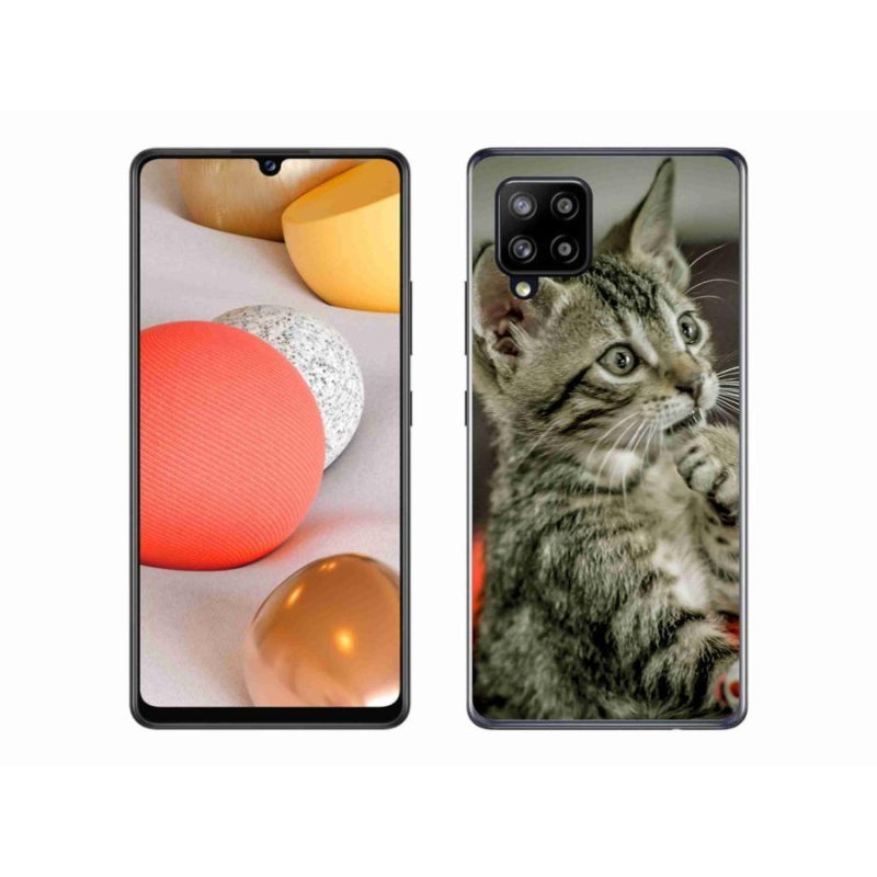Gelové pouzdro mmCase na mobil Samsung Galaxy A42 5G - roztomilá kočka