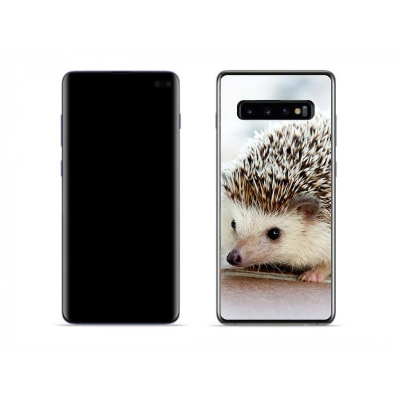 Gelové pouzdro mmCase na mobil Samsung Galaxy S10 - ježek