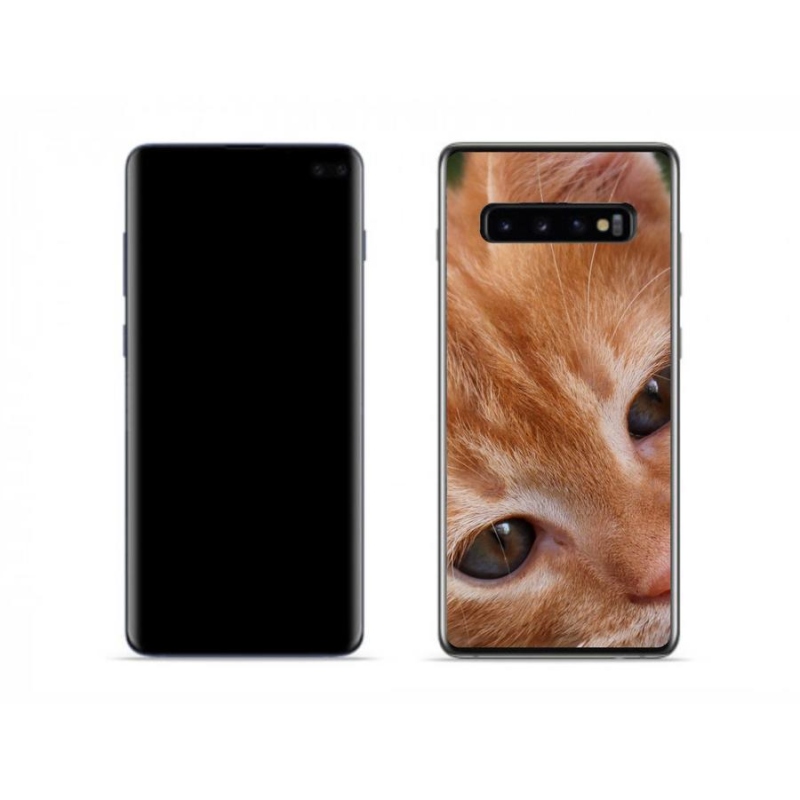 Gelové pouzdro mmCase na mobil Samsung Galaxy S10 - zrzavé kotě