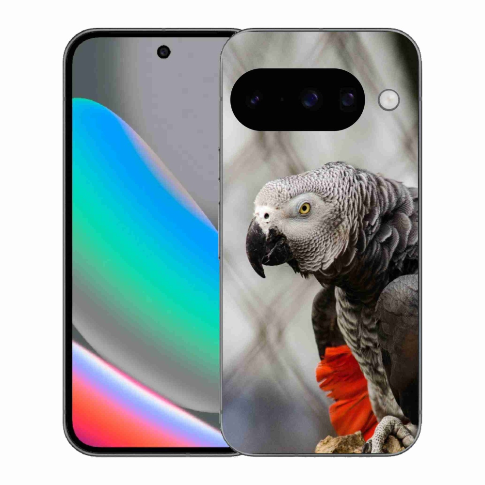 Gelový kryt mmCase na Google Pixel 10 - papoušek žako 3