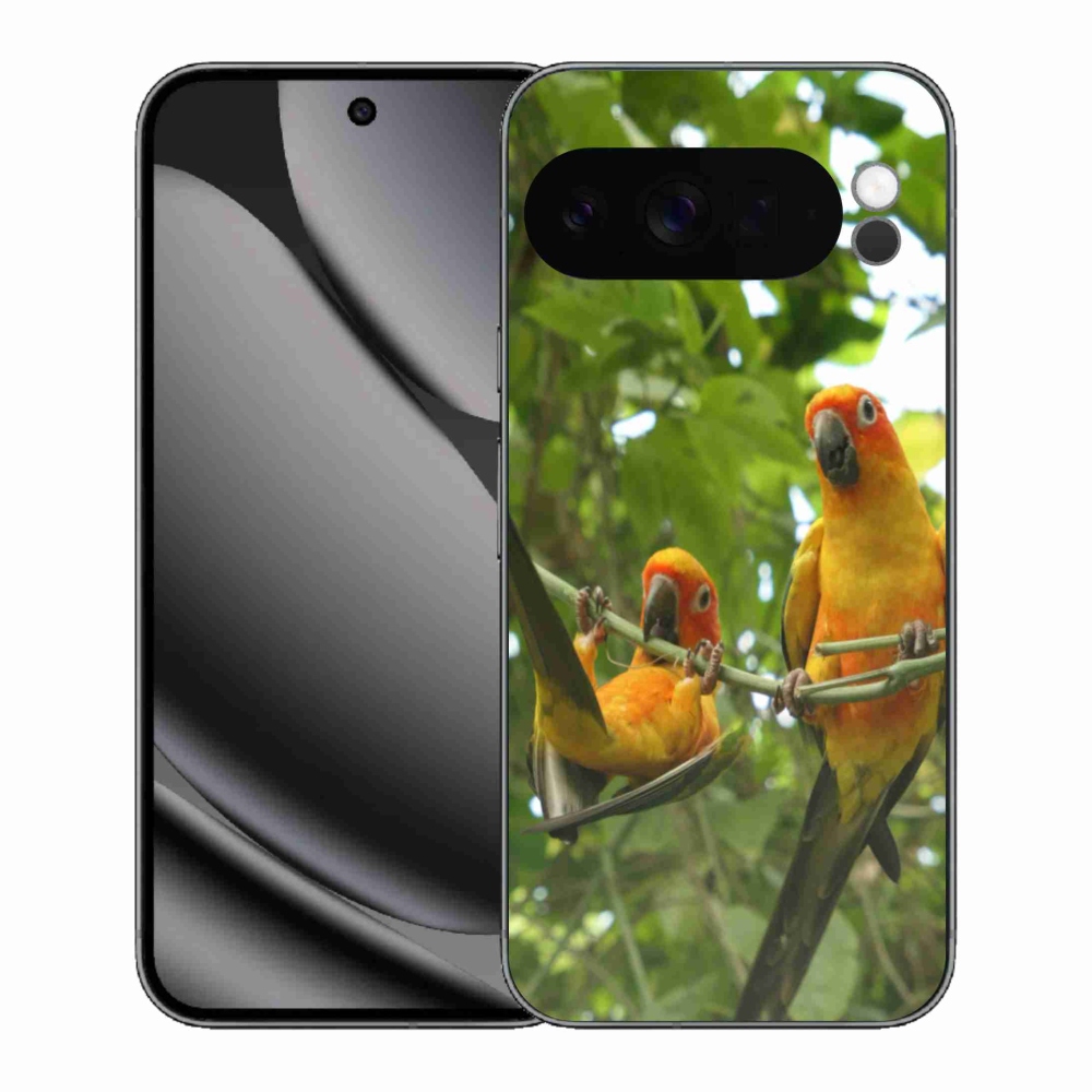 Gelový kryt mmCase na Google Pixel 10 Pro XL - papoušci aratingy