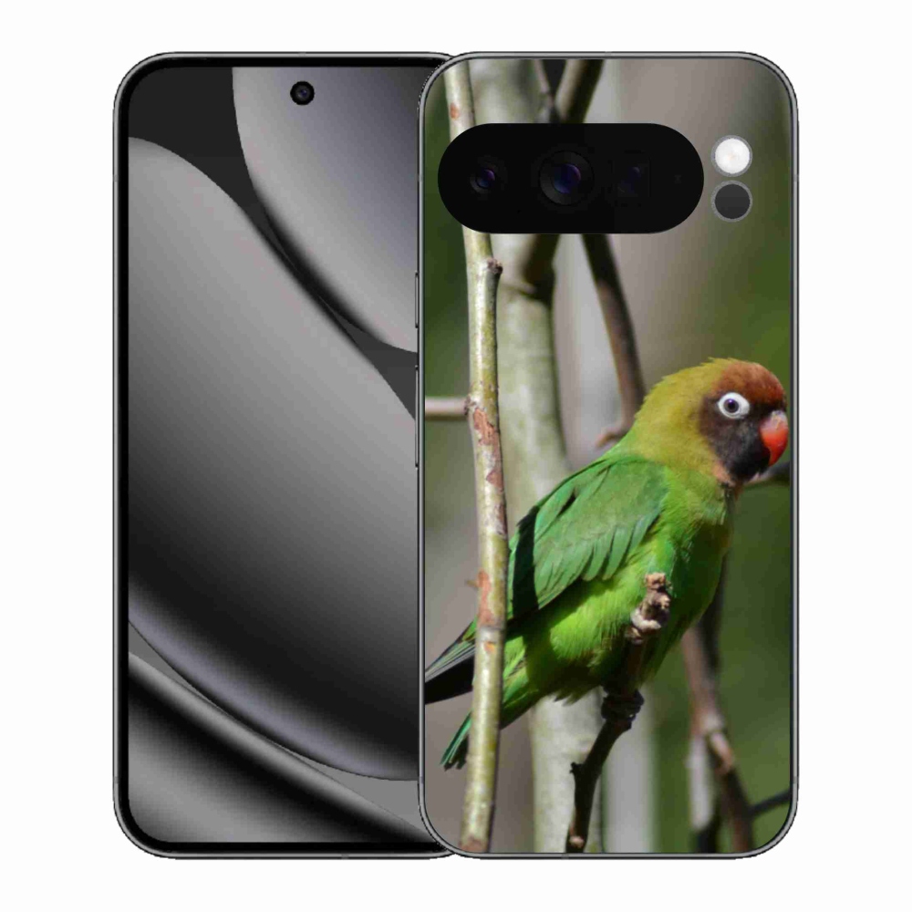 Gelový kryt mmCase na Google Pixel 10 Pro XL - papoušek agapornis