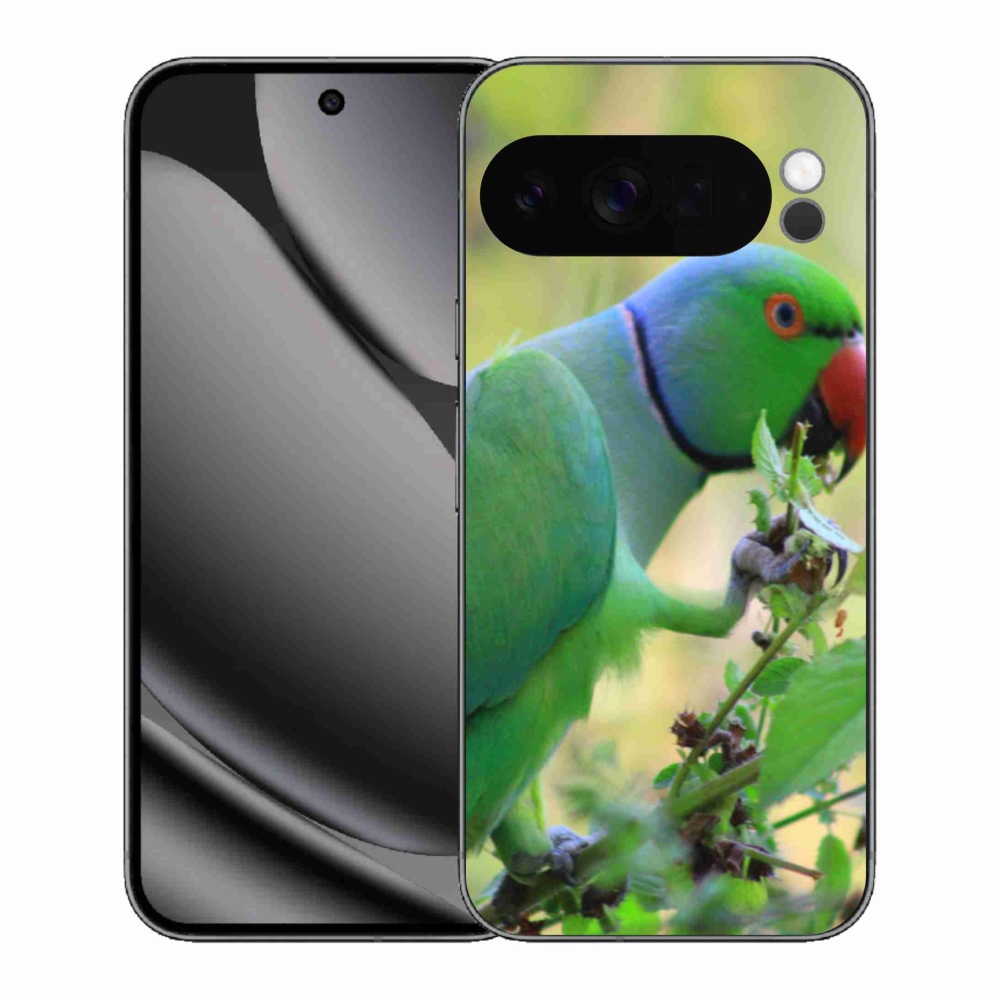 Gelový kryt mmCase na Google Pixel 10 Pro XL - papoušek alexandr