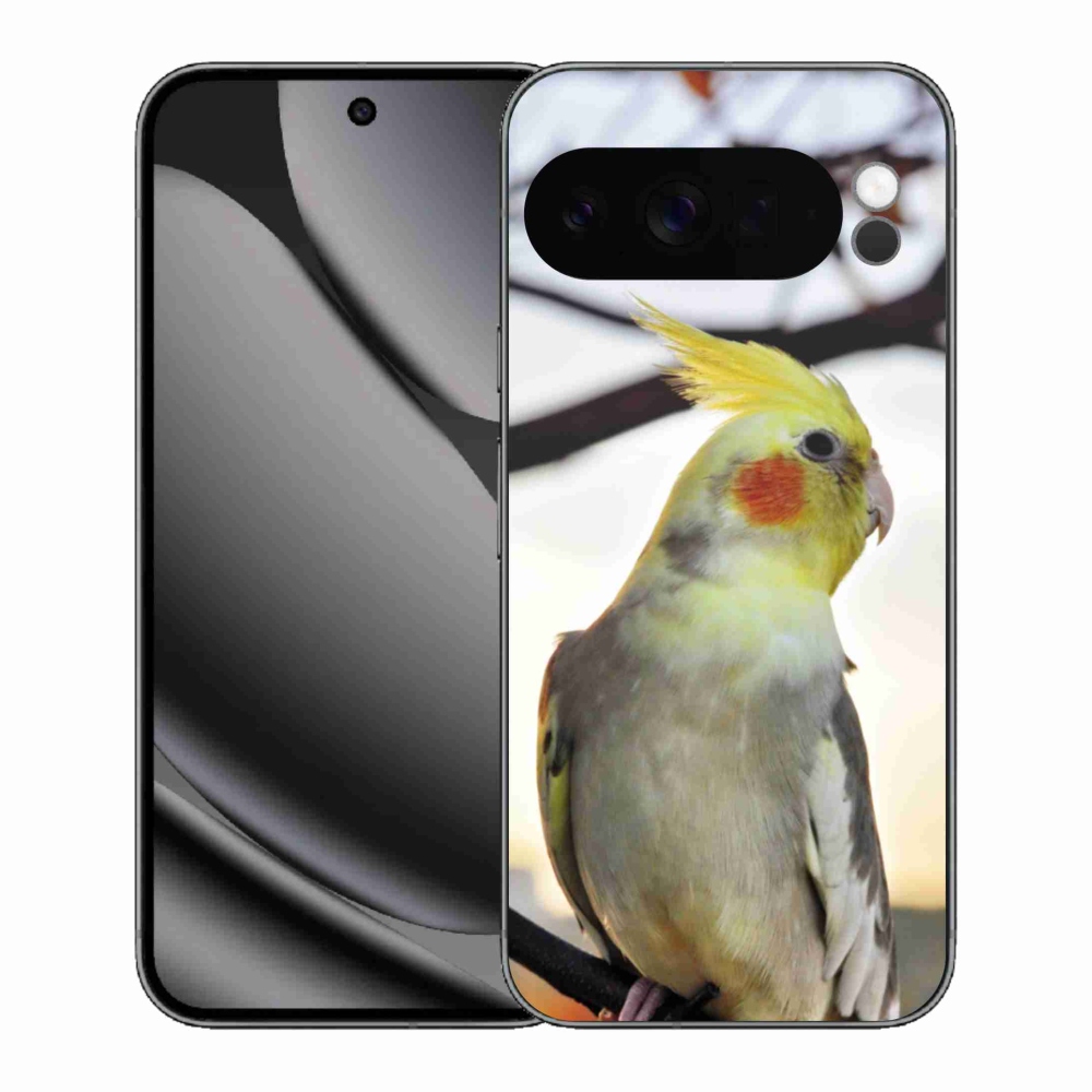 Gelový kryt mmCase na Google Pixel 10 Pro XL - papoušek korela