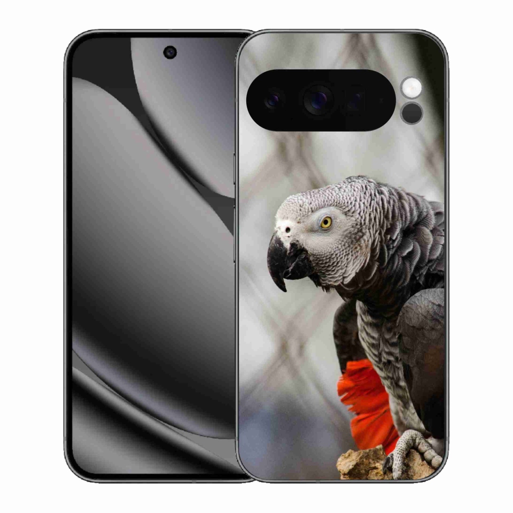 Gelový kryt mmCase na Google Pixel 10 Pro XL - papoušek žako 3