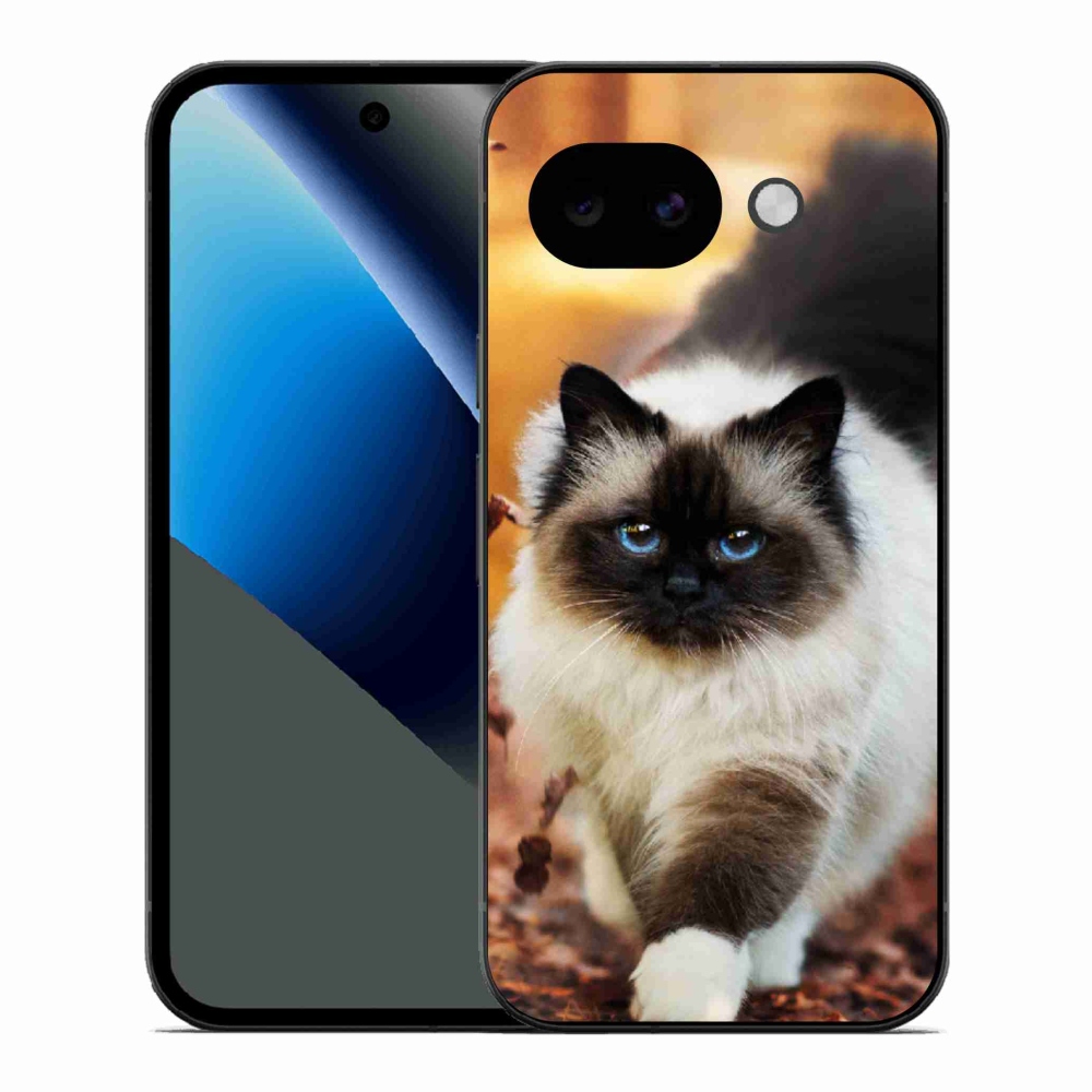 Gelový kryt mmCase na Google Pixel 10a - kočka