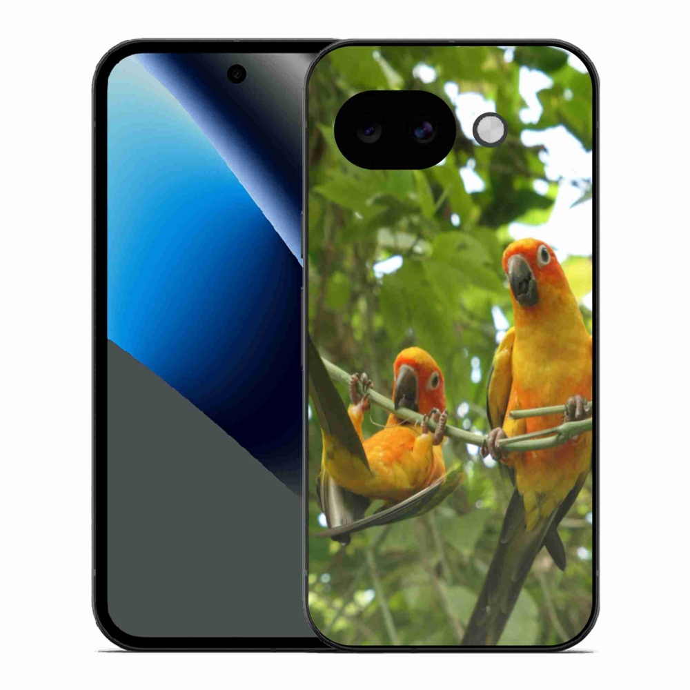 Gelový kryt mmCase na Google Pixel 10a - papoušci aratingy