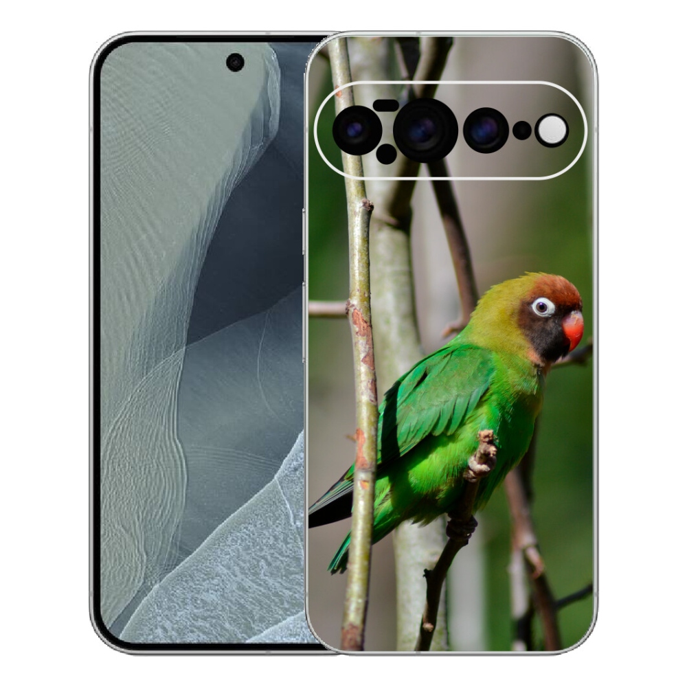 Gelový kryt mmCase na Google Pixel 11 Pro XL - papoušek agapornis