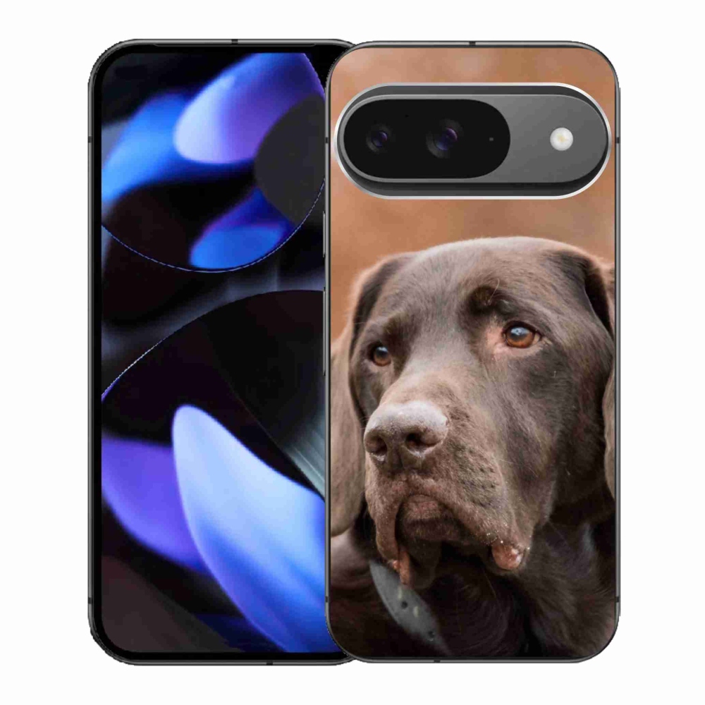 Gelový kryt mmCase na Google Pixel 9 - hnědý labrador