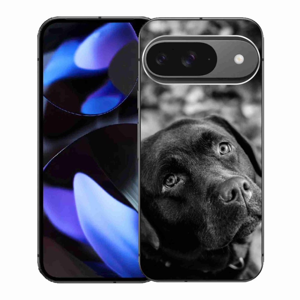 Gelový kryt mmCase na Google Pixel 9 - labrador