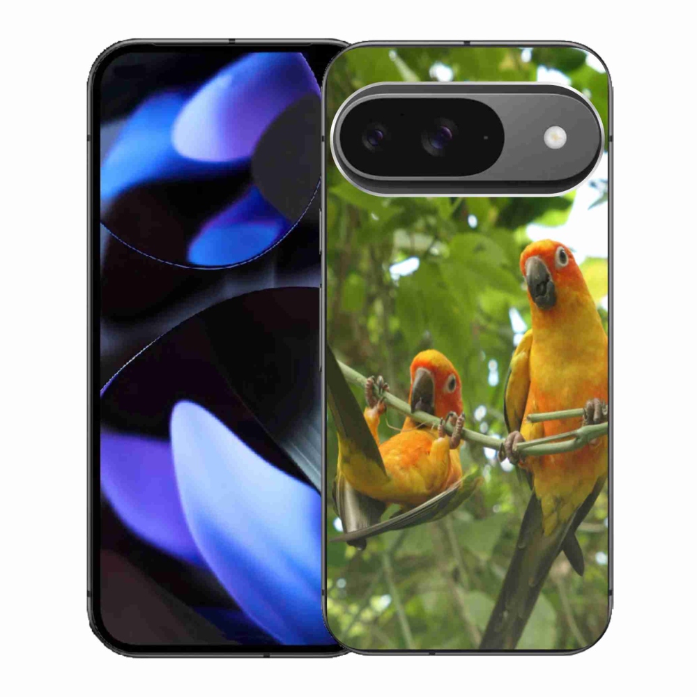 Gelový kryt mmCase na Google Pixel 9 - papoušci aratingy