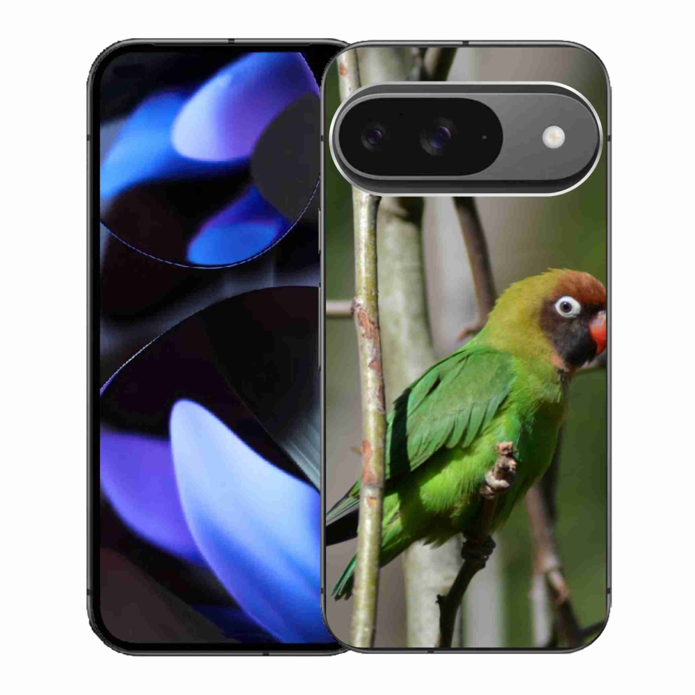 Gelový kryt mmCase na Google Pixel 9 - papoušek agapornis
