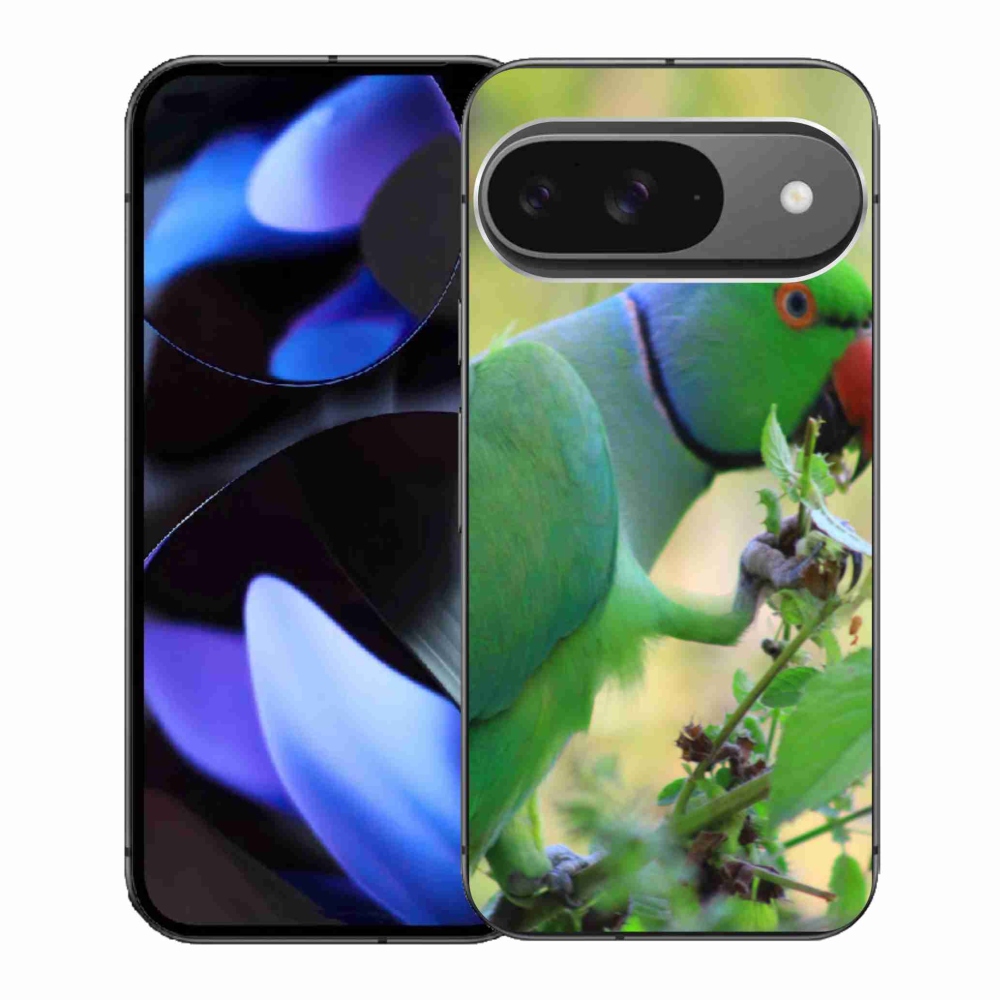 Gelový kryt mmCase na Google Pixel 9 - papoušek alexandr