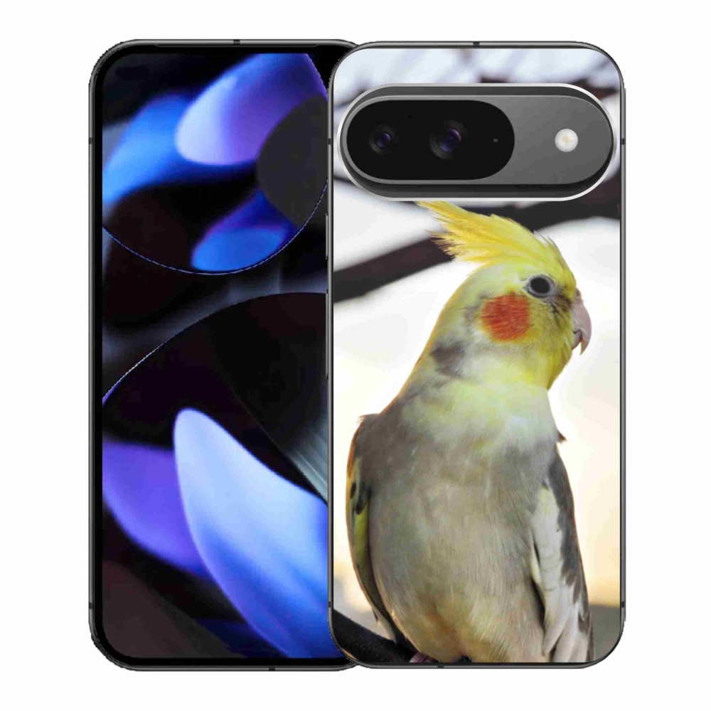 Gelový kryt mmCase na Google Pixel 9 - papoušek korela