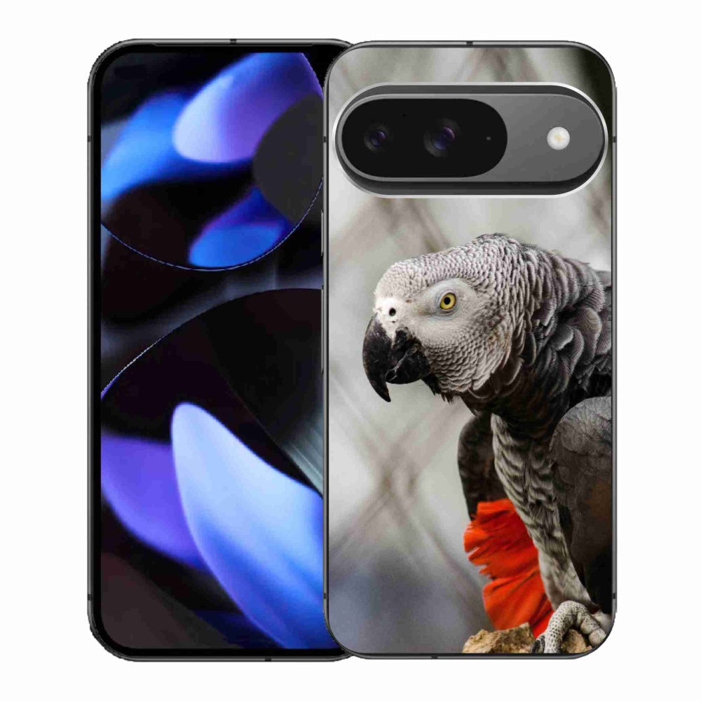Gelový kryt mmCase na Google Pixel 9 - papoušek žako 3