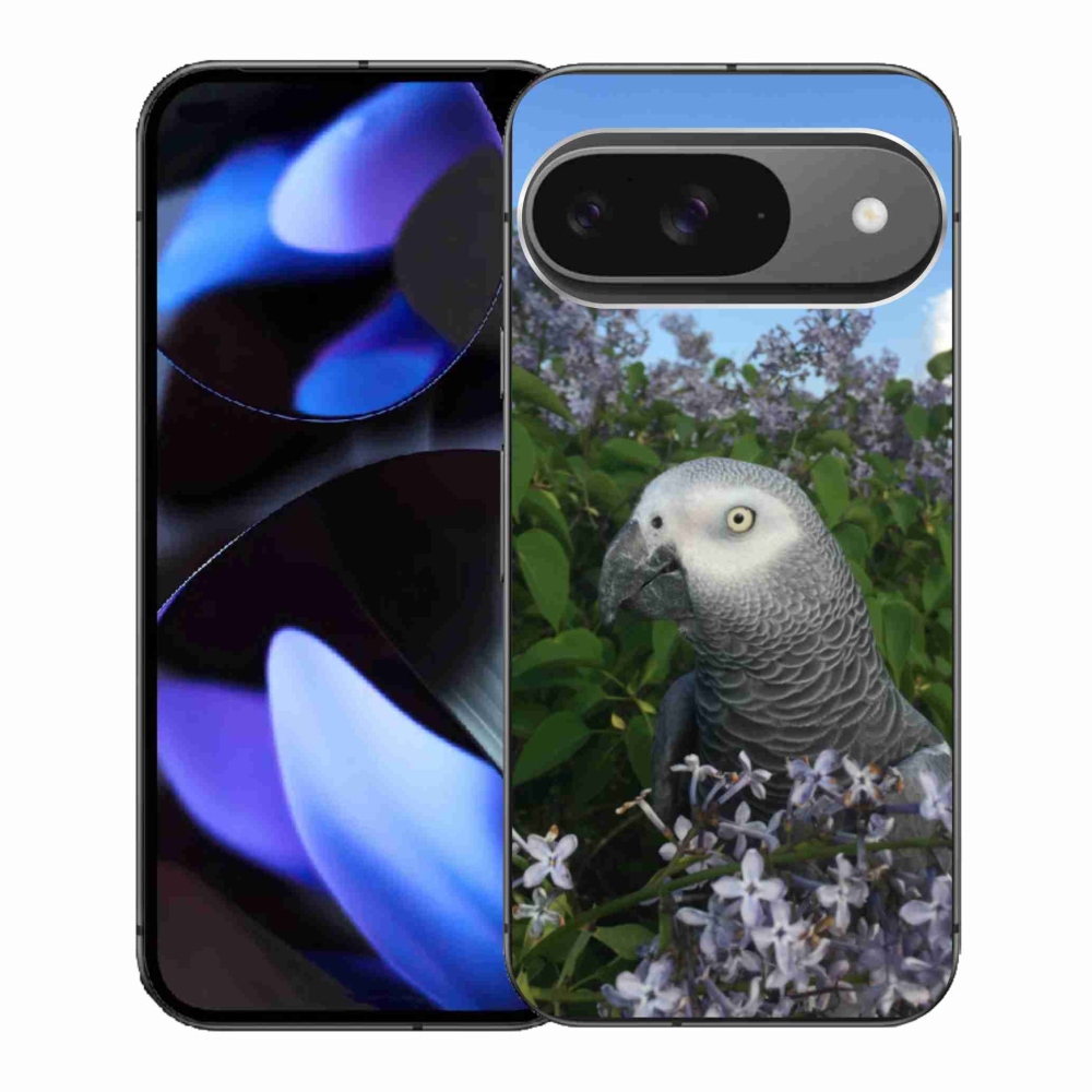 Gelový kryt mmCase na Google Pixel 9 - papoušek žako