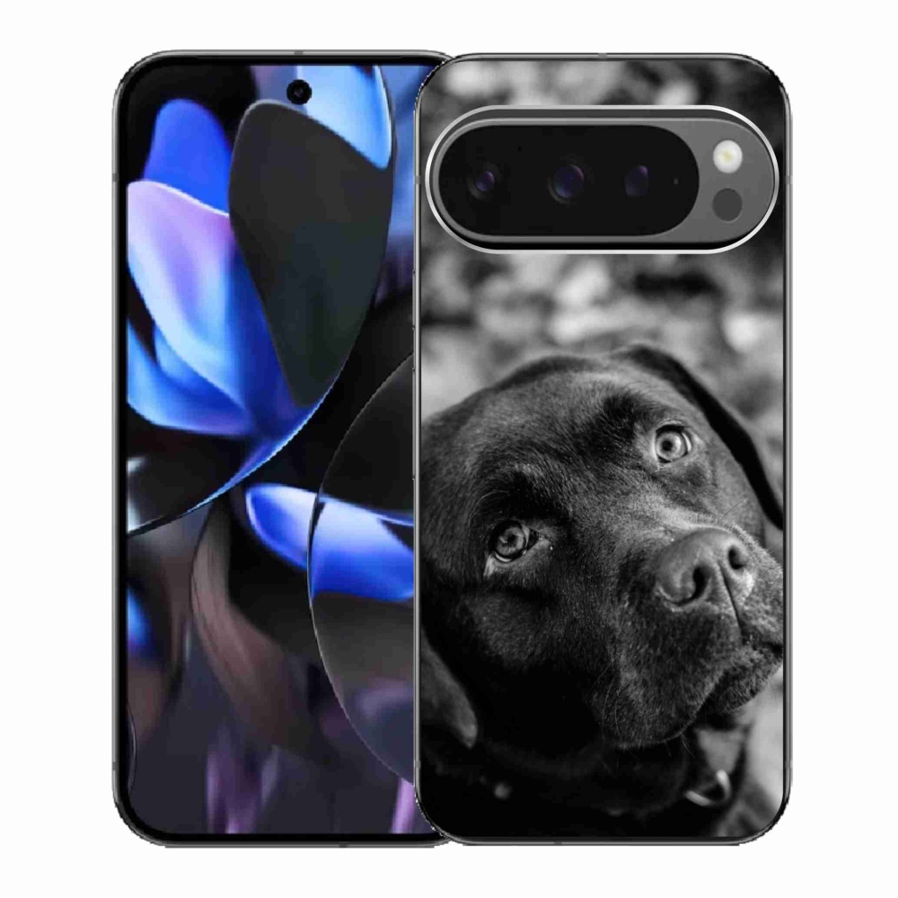 Gelový kryt mmCase na Google Pixel 9 Pro - labrador