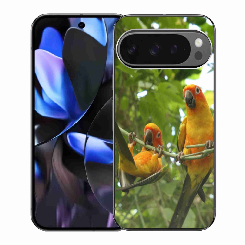 Gelový kryt mmCase na Google Pixel 9 Pro - papoušci aratingy