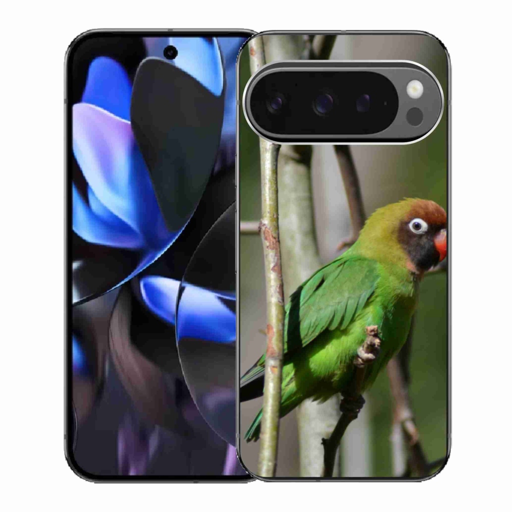 Gelový kryt mmCase na Google Pixel 9 Pro - papoušek agapornis