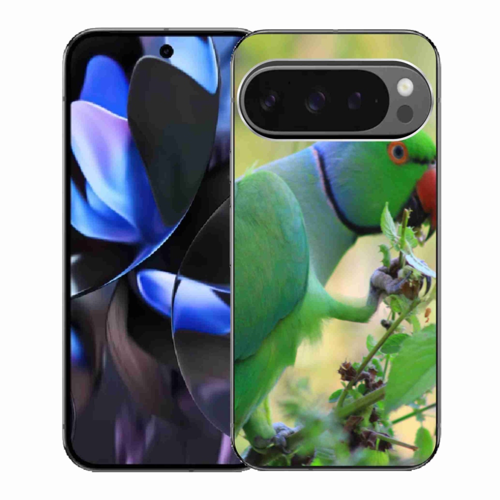 Gelový kryt mmCase na Google Pixel 9 Pro - papoušek alexandr