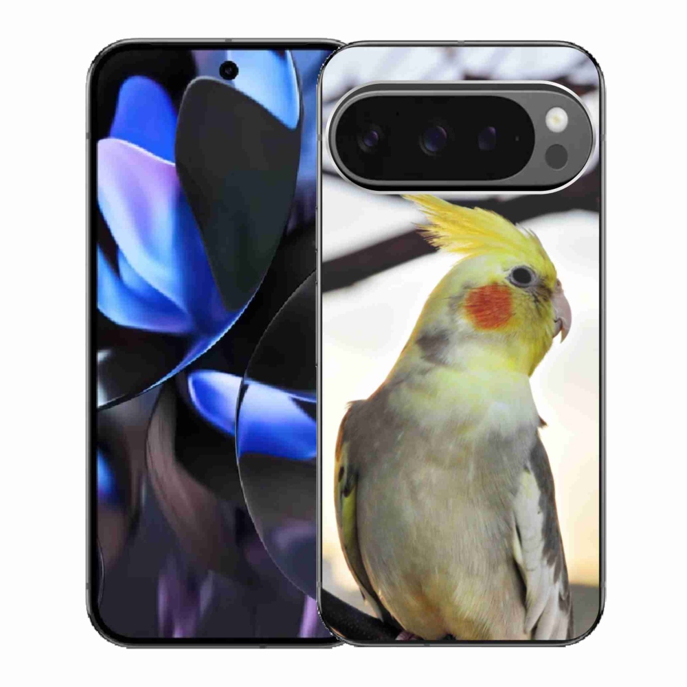 Gelový kryt mmCase na Google Pixel 9 Pro - papoušek korela